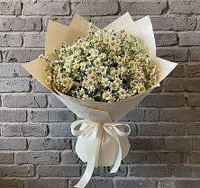 Букет цветов из:  Ромашки #REPLACE_PRED# Нелидово